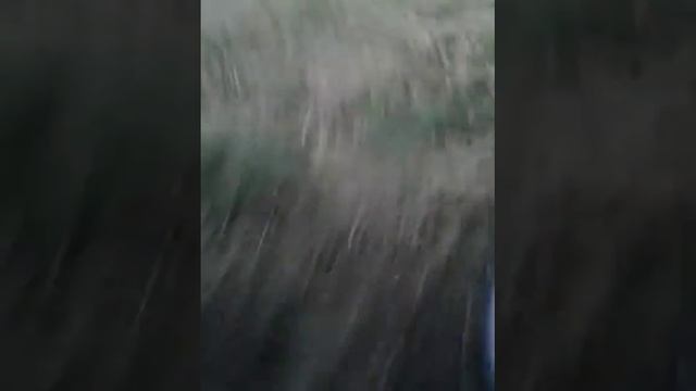 Kastytis spaudžia смотреть онлайн