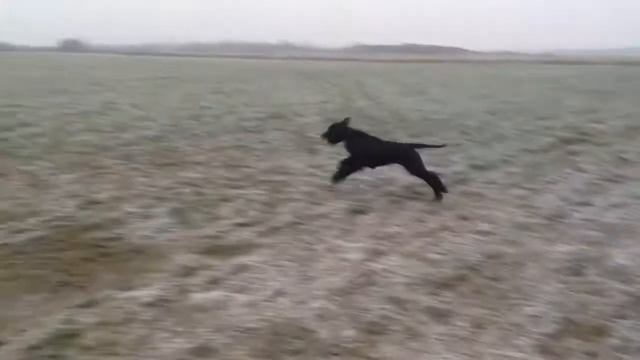 box смотреть онлайн