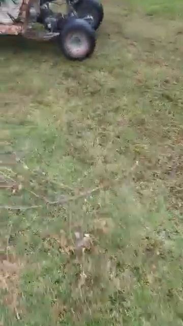 баги своими руками