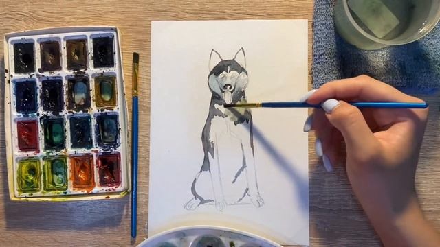 Как нарисовать Хаски карандашом и акварелью начинающим | Рисунок для детей смотреть онлайн