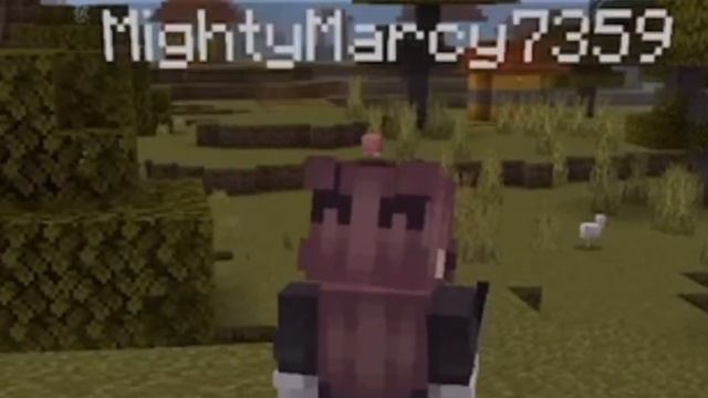 Michi N Marcy // Minecraft Part 1