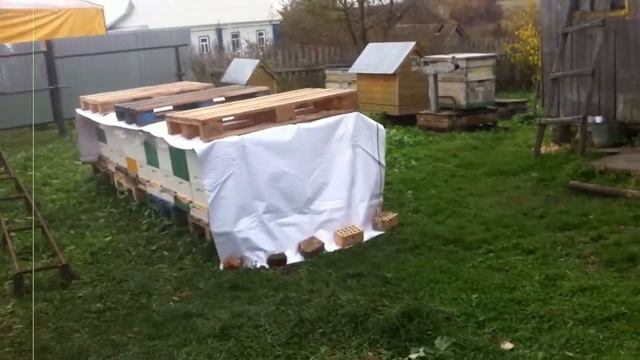 Подготовка пчел к зимовке на улице смотреть онлайн