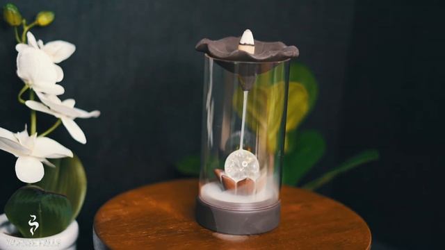 Crystal Rose | S3 | RUDE - Ju Hua Tai смотреть онлайн