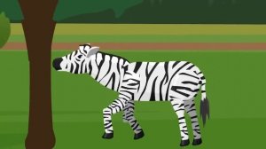 Zoochosis vs Unnatural Habitat Animals | Monster Animation