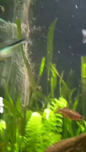 2 июня 2024 г. смотреть онлайн