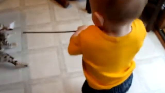 БЕНГАЛЫ смотреть онлайн