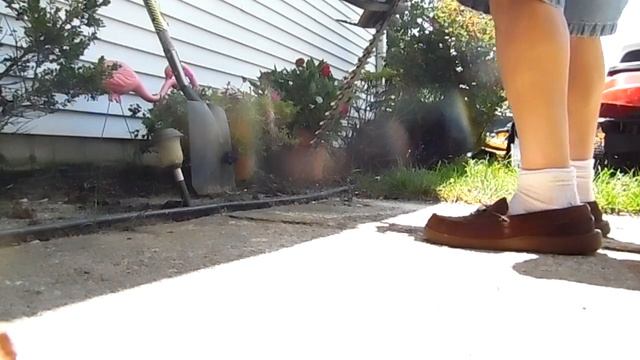 echo hedge trimmer 003 смотреть онлайн