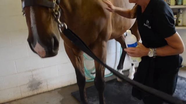 EspanaSilk - Antiseptic Healing Topical Spray and Conditioner (Part 2 of an 8 video series) смотреть онлайн