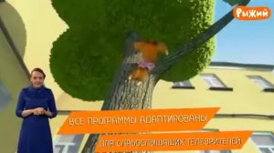 Телеканал «Рыжий» | Сеть телевещания Курьер плюс