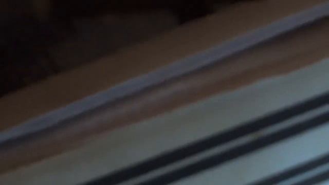 Конец февраля, ревизия лилий в хранилище.ВПЛ