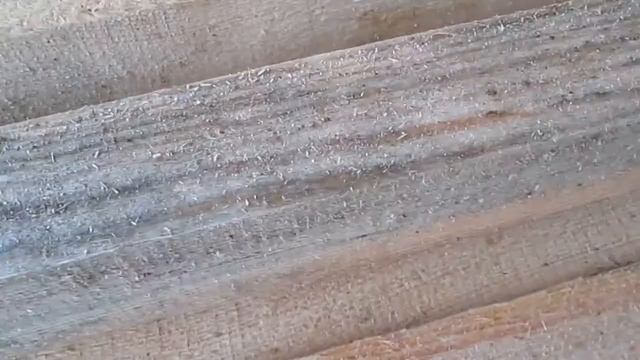 Грибок синевы на обрезных пиломатериалах. Строительство в Клину, Солнечногорске, Волоколамске, Дмит смотреть онлайн