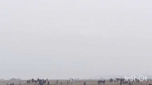 асп пайка дар Камуна Фархор 13 ноября 2022 смотреть онлайн