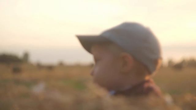 Дима Скуратов и Натуська и поле смотреть онлайн