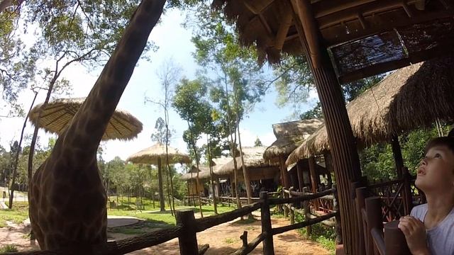 о.Фукуок кофе Жираф смотреть онлайн