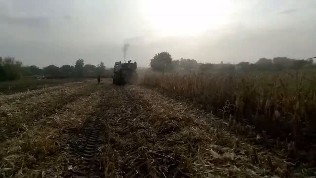 Молотим кукурудзу Нива ск5 2020 частина 2