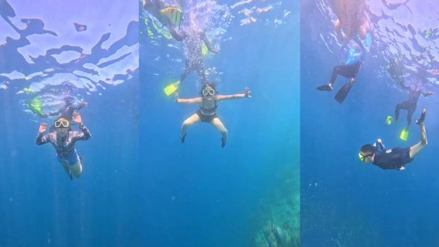 Oslob Whale Shark Snorkeling | Sardine Run | Turtle смотреть онлайн