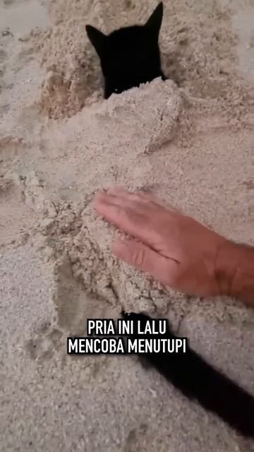 Dia Datang Secara Mengejutkan смотреть онлайн