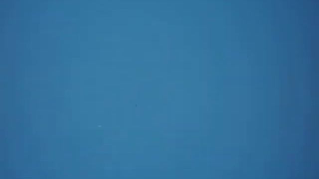 Гон молодых бакинских голубей смотреть онлайн