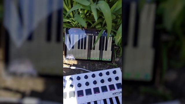 Arturia Minilab MK2 = DJ Controller - на нём еще и диджеить можно? смотреть онлайн