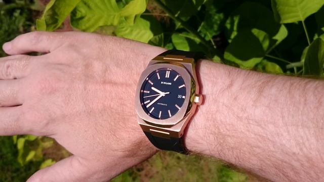 Wristshot! / D1 Milano Automatic ATRJ03 / 42mm (18,5cm Wrist)
