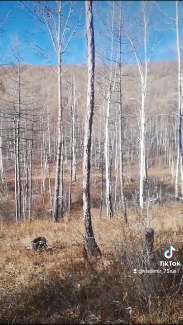 26 ноября 2023 г. смотреть онлайн