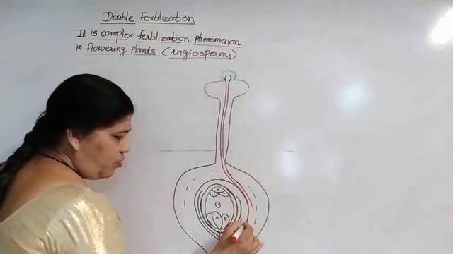 DOUBLE FERTILIZATION :PART 2 смотреть онлайн