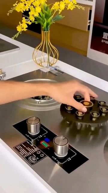 Check Out Gas Stove Recessed LPG Stainless Steel Large Gas Stove