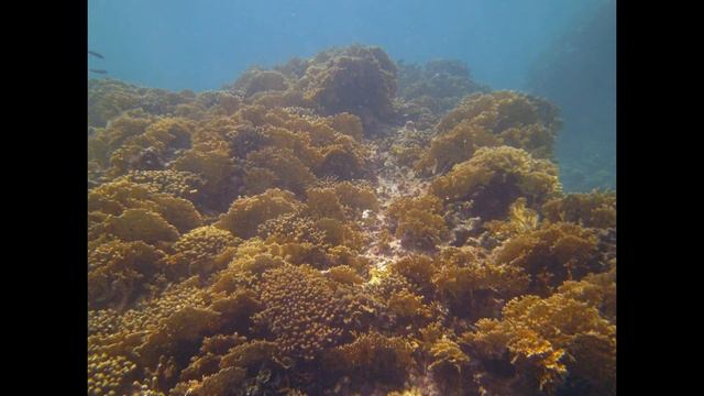 SV Pelican - Exploring the San Blas Islands of Panama смотреть онлайн
