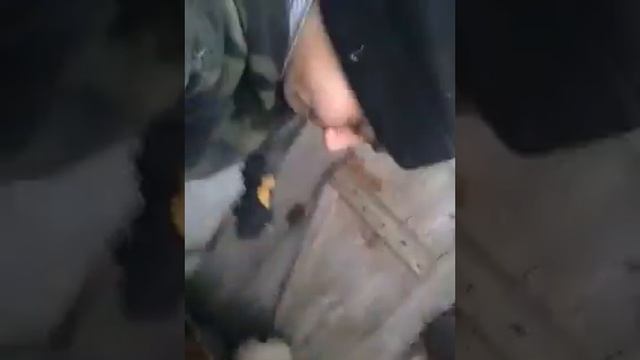 "Очистка бабуина" смотреть онлайн