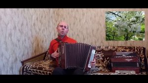 "Расцвела под окошком белоснежная вишня".(Кавер-версия).Гармонь.