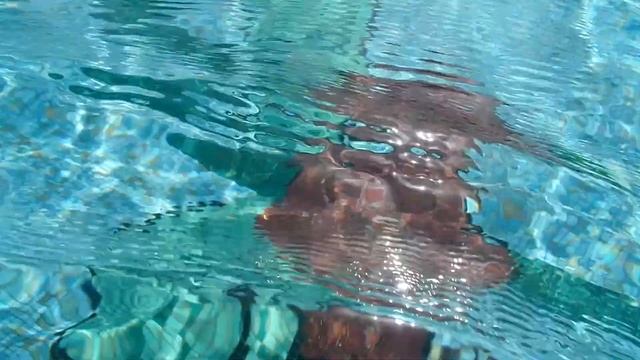 Vlog Wings - Im Pool Royal Wings Lara смотреть онлайн