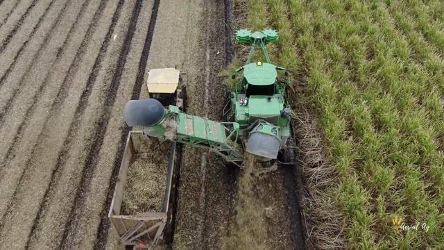 John Deere's 2 Row CH960 Cane Harvester 4K смотреть онлайн