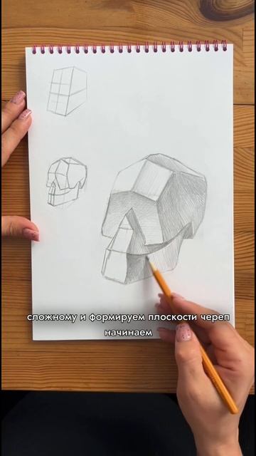 Рисуем обрубовку черепа человека простым карандашом смотреть онлайн