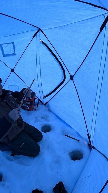 Чем и как прикармливать Ленка? Горная рыбалка смотреть онлайн