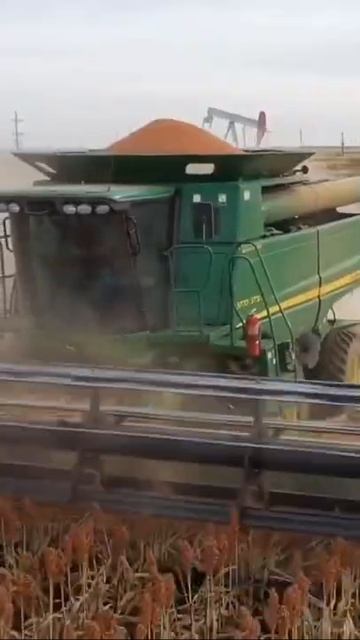 good times #farmtok #agriculture #dji #farmlife #fpv #cotton #peanuts смотреть онлайн