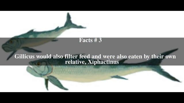 Gillicus Top # 5 Facts смотреть онлайн