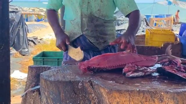 Fresh Tuna fish cutting skills | Knife skills Srilanka | Mr. Lal. смотреть онлайн
