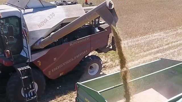 Dlaczego ROLNIK kupił kombajn Rostselmash NOVA 330 zamiast New Holland ? [Korbanek] смотреть онлайн