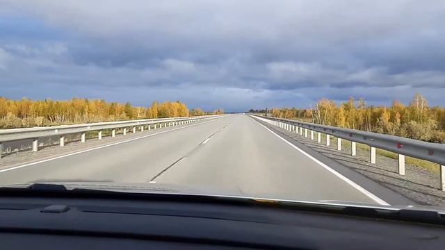 Осенняя трасса Нижневартовск- Стрежевой. смотреть онлайн