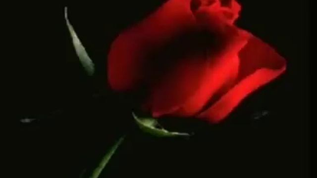 LOS TERRICOLAS-DOS COSAS смотреть онлайн