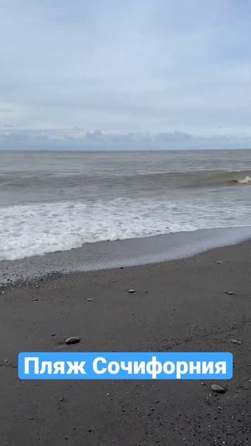 ПЛЯЖ СОЧИФОРНИЯ#shorts смотреть онлайн