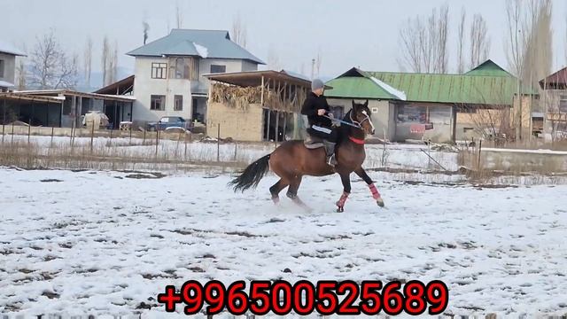 КОСМОС уят кылбайт КОШУНАМА САТСАМ ДАГЫ 👍ЭМИЛ АКЕДЕ АТ