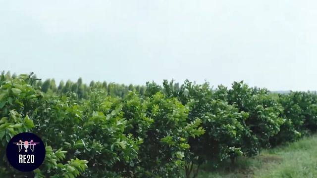 DJI AGRAS T30 - RE20S смотреть онлайн