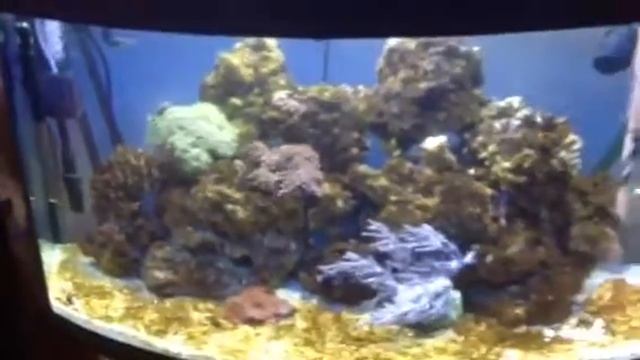Море 240л смотреть онлайн