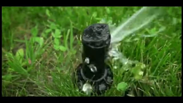 Озеленение в Барнауле смотреть онлайн