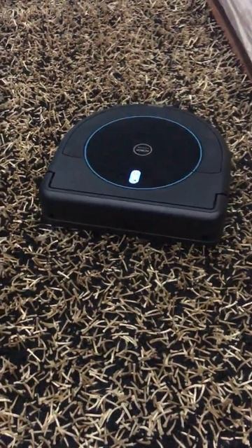 HOBOT LEGEE 668 หุ่นยนต์ทำความสะอาดพื้น 4 IN 1 | ทดสอบบนพรมขนยาว 1