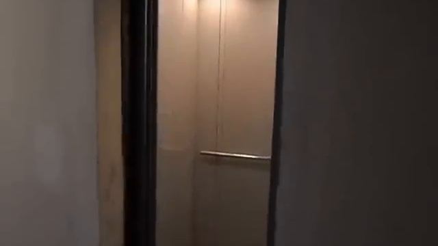 mogilev_chip.flv смотреть онлайн