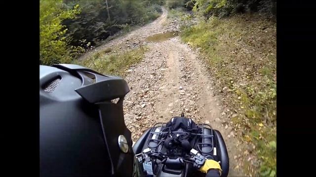 2014 Grizzly 700 SE - Sanderson, WV смотреть онлайн