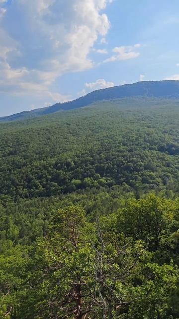 планческие скалы - природа краснодарского края смотреть онлайн