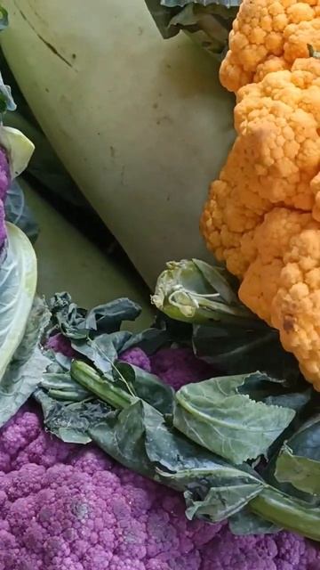 #short#yellow & pink colour cauliflower смотреть онлайн